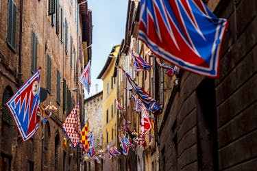 Palio di Siena and Contrade small group tour